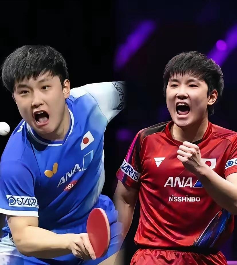 葡萄牙队翻盘奥地利队，张本智和刷新纪录