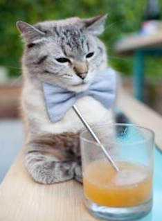 双王记，当萨克拉门托的狂扫遇上齐鲁大地的烈焰