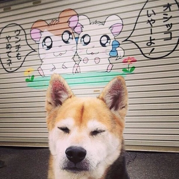 当火箭升空时，哈登就是唯一的燃料