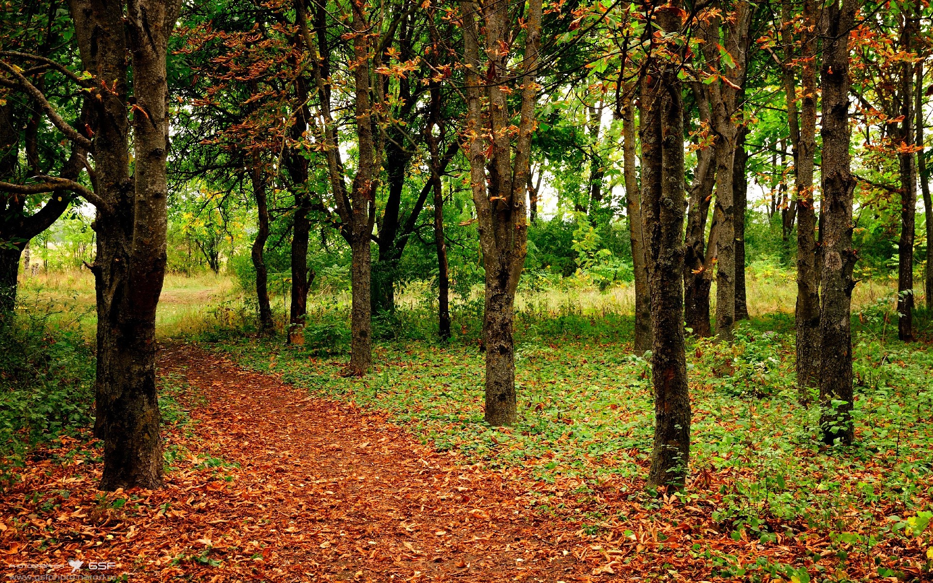 当银黑军团遇上紫禁之巅，一场注定载入史册的跨洋焦点战