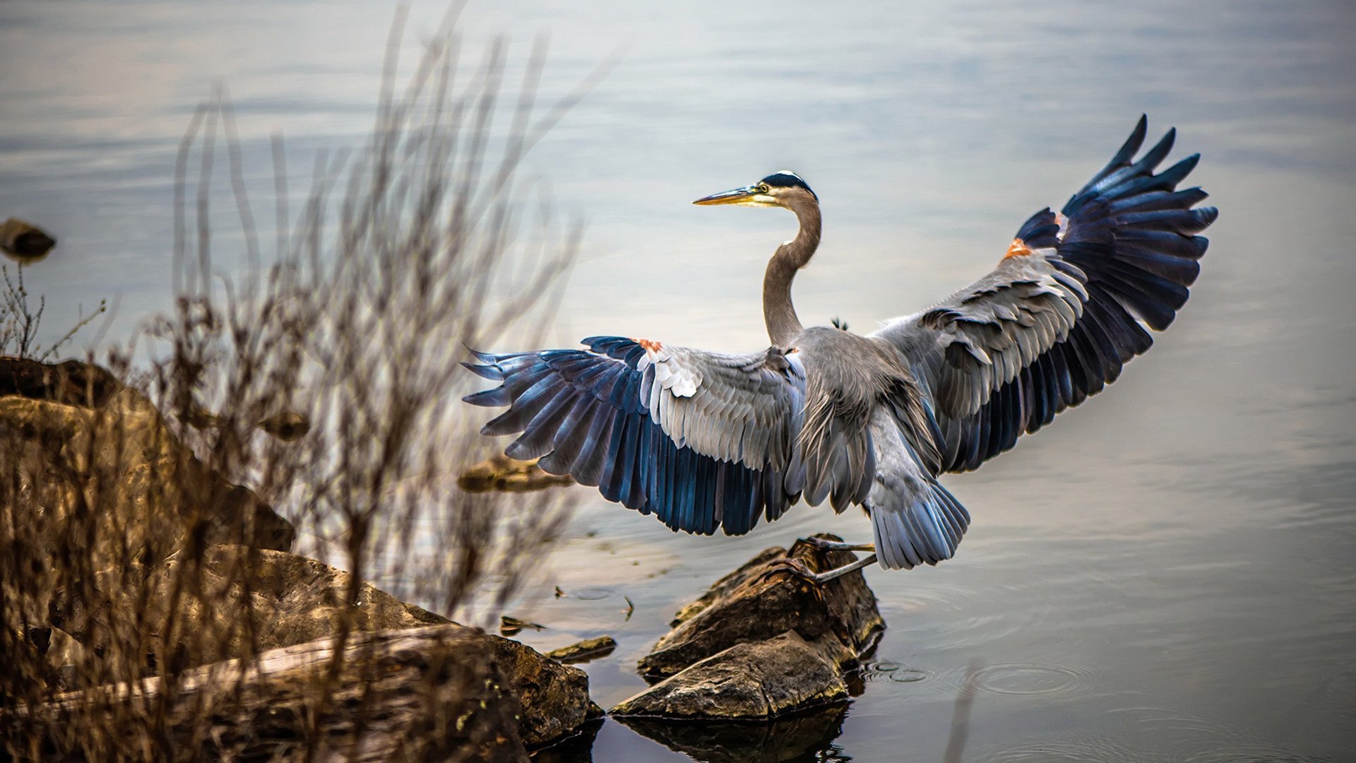美加之夜冰与火之诗，当福登以优雅统御风暴