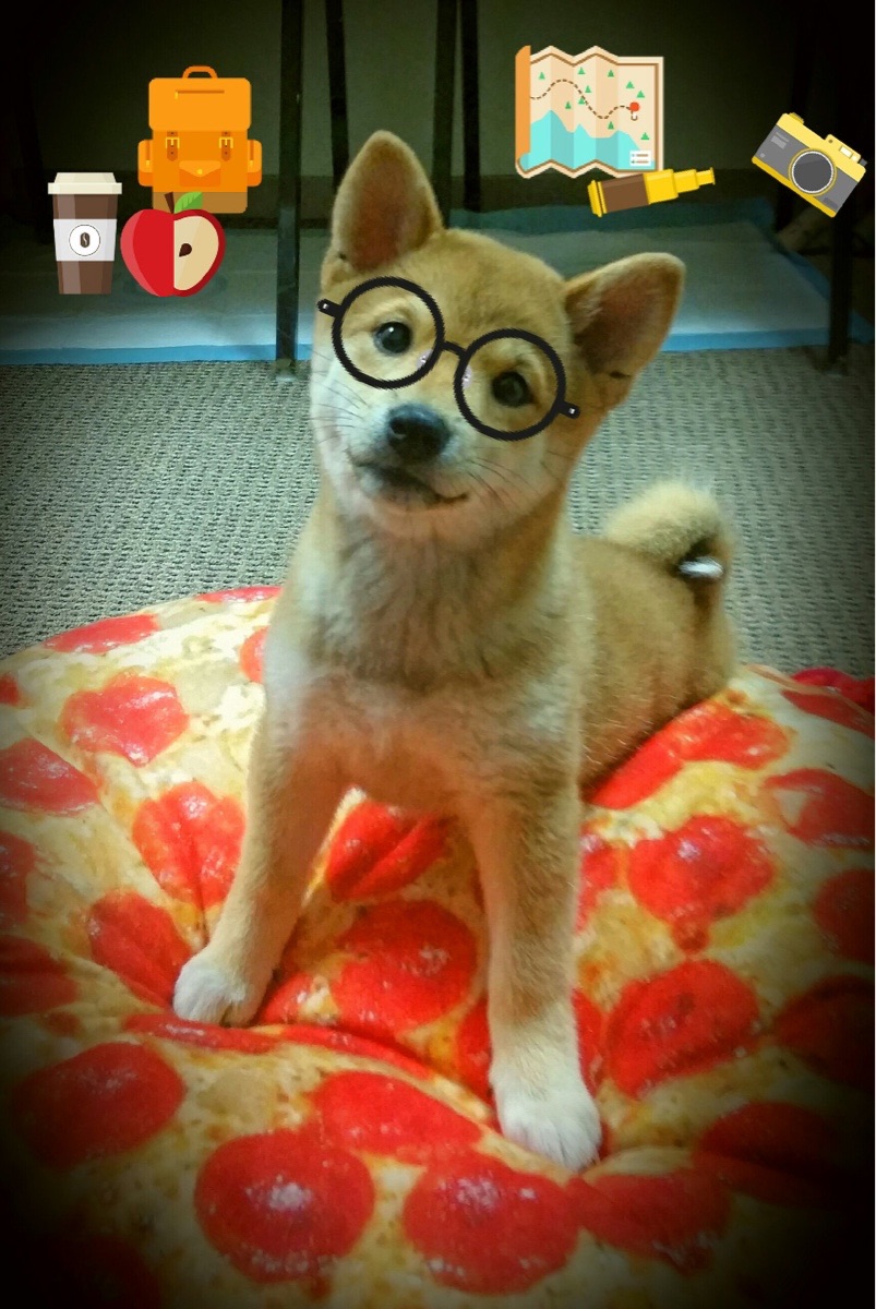 活塞引擎轰鸣,底特律以F1式攻防节奏压制雷霆