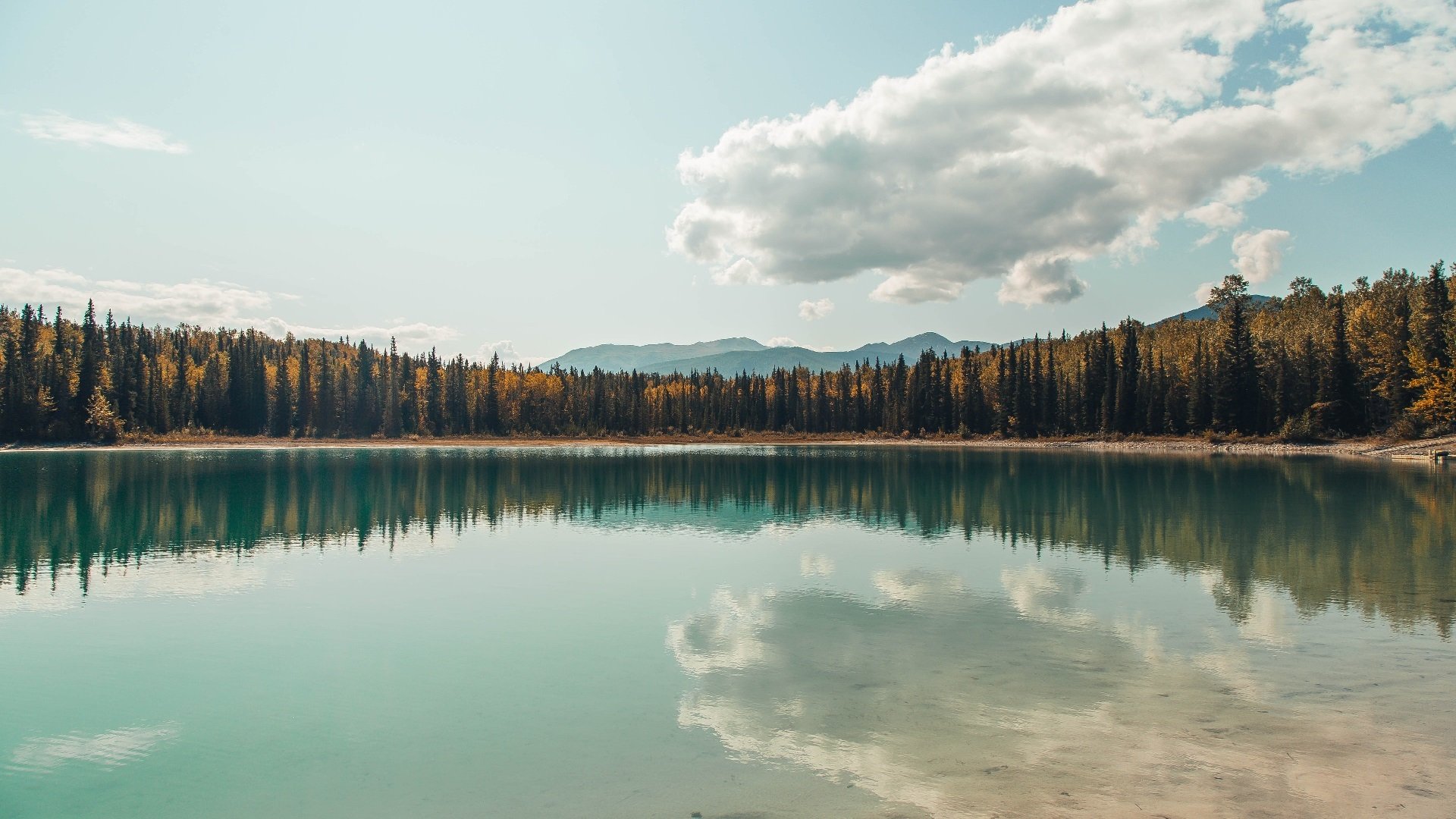 东方试炼，马刺对阵浙江队，马克西首秀即成全场焦点