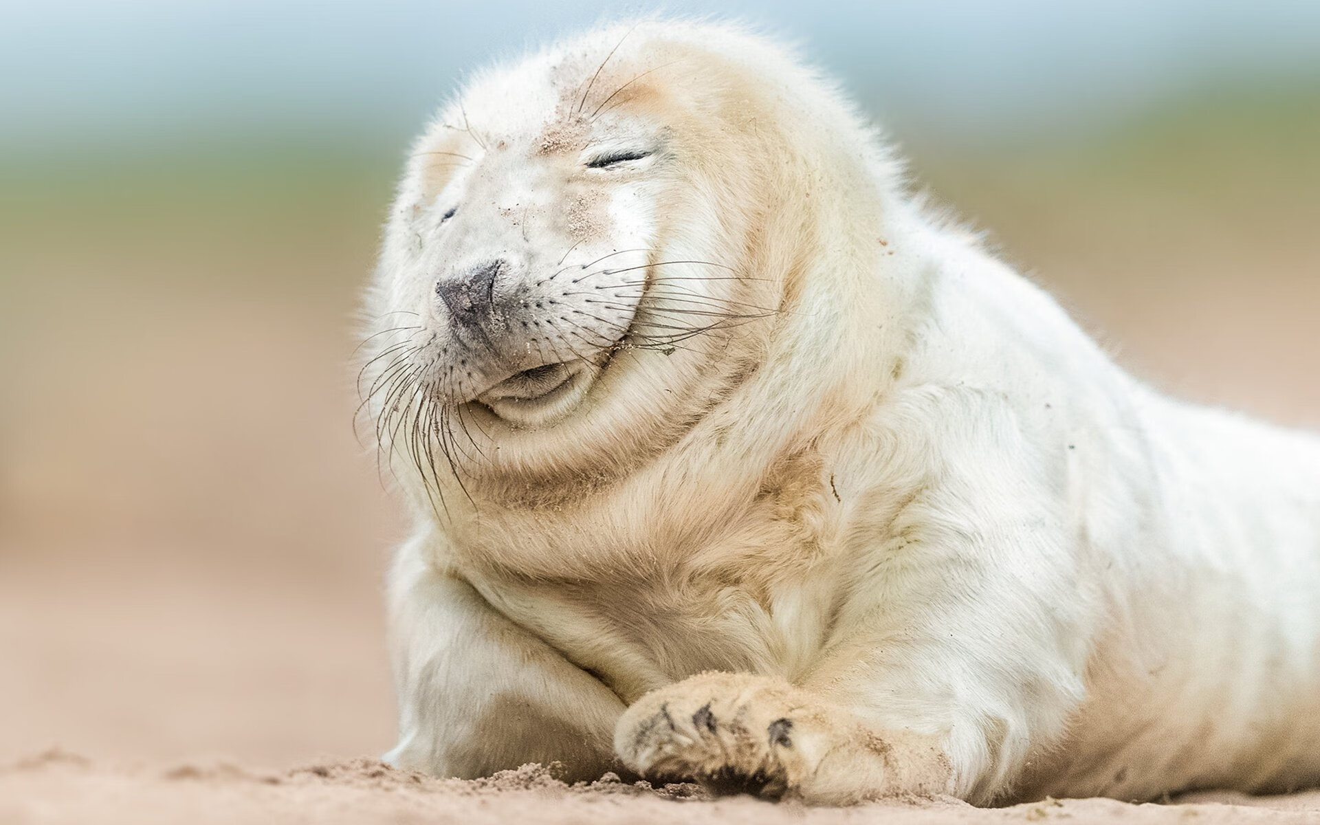 浓眉擎天柱，国王碾碎绿军铁壁—记一场定义赛季的颠覆之战