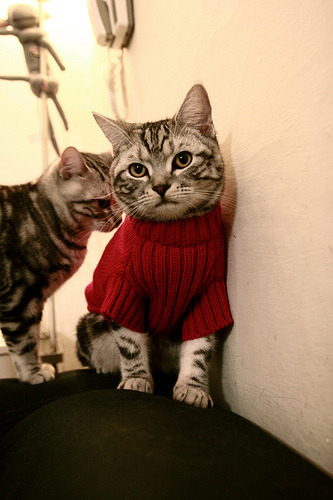 以足球之名,定义全场最佳,阿圭罗的奇迹与黄色潜水艇的航迹