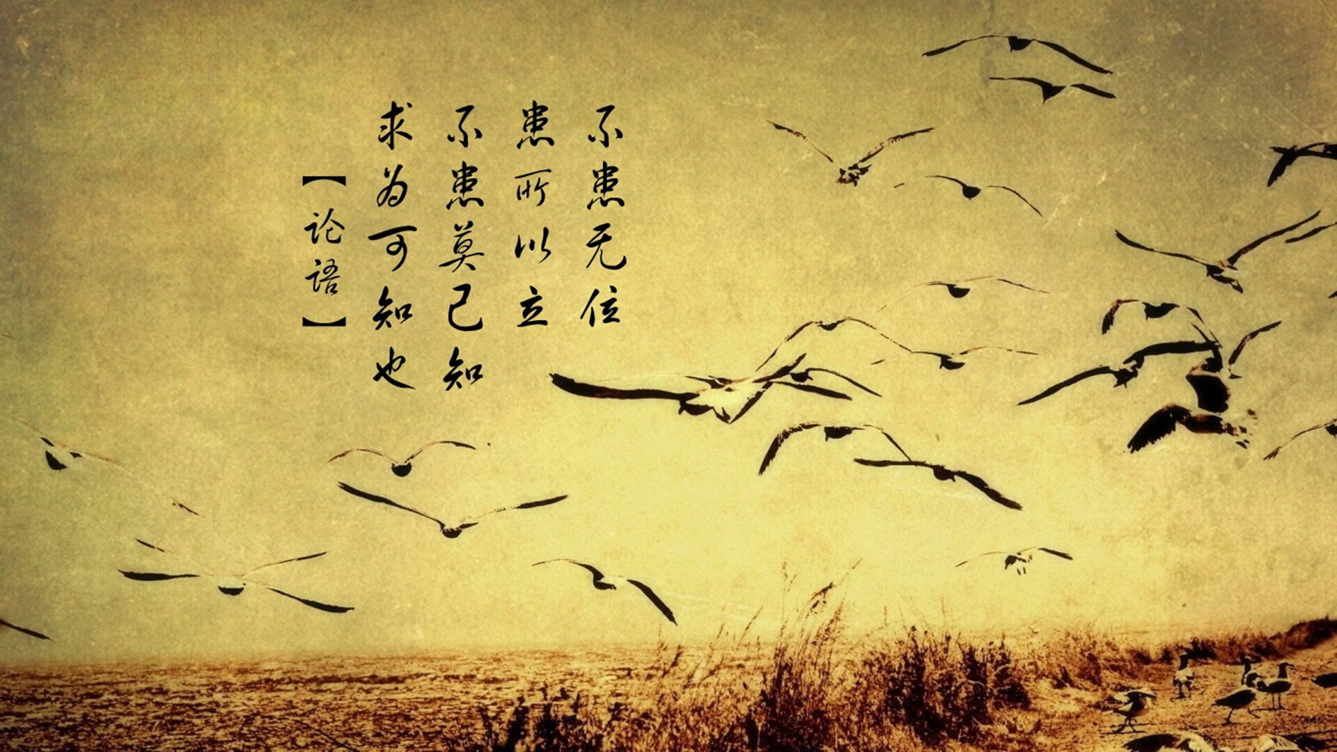 跨界绞杀，当孟菲斯铁闸误入上海滩生死战