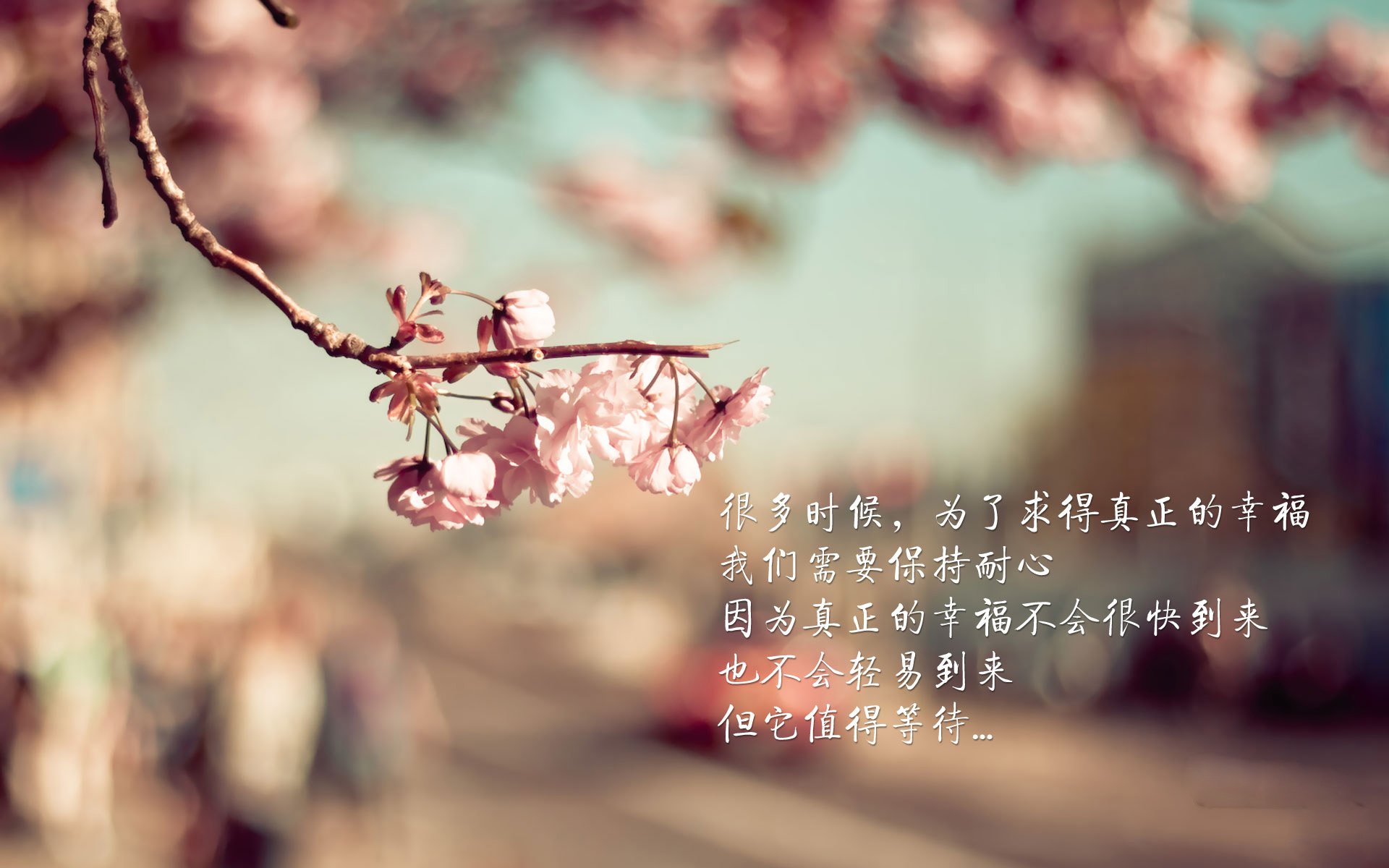 平行宇宙的篮球盛宴,吉林队横扫湖人,范弗利特欧冠半决赛一战成名
