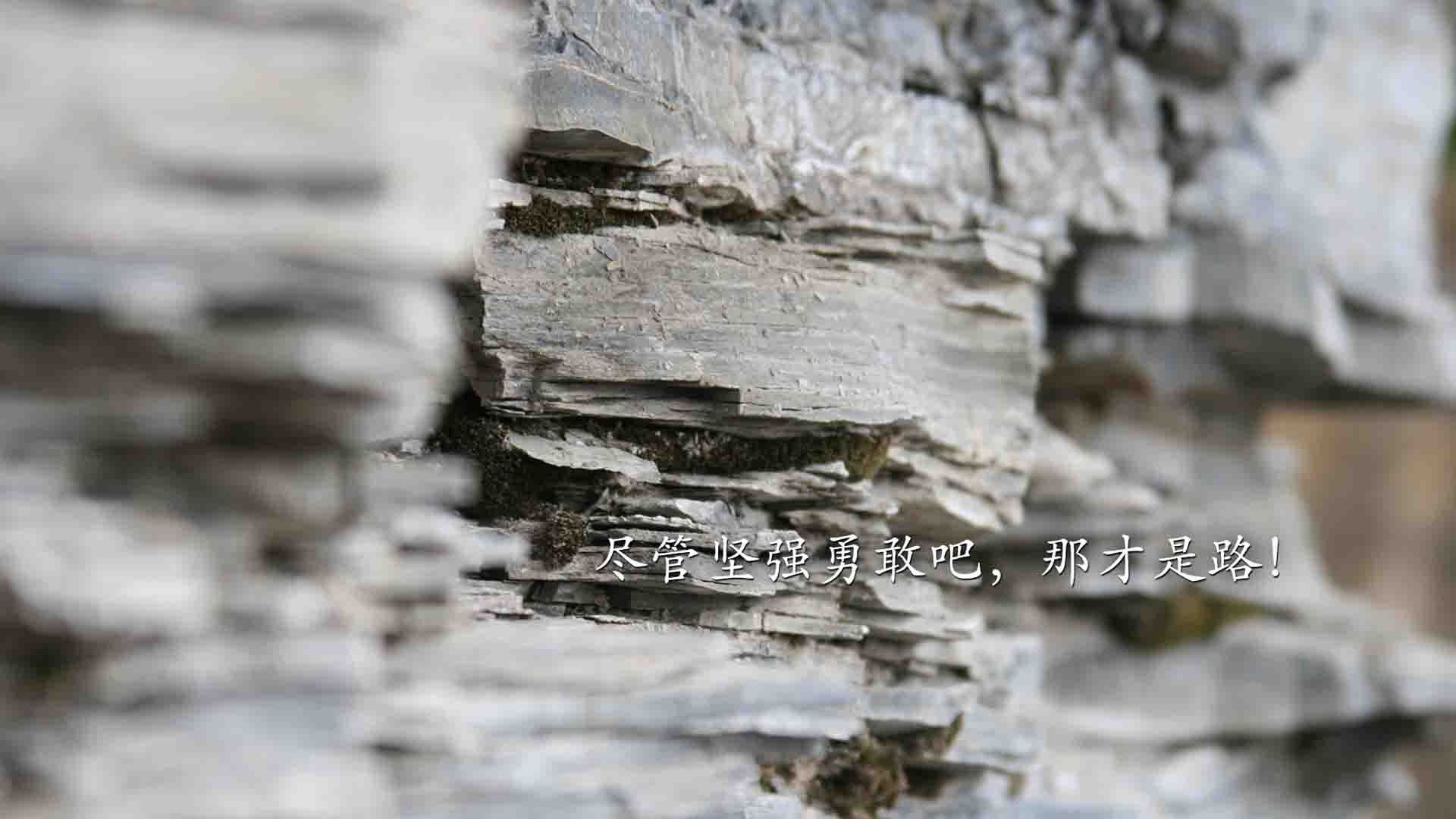 意志的淬火,2026世界杯,乌拉圭铁骑踏碎波斯铁墙,阿方索·戴维斯一剑封喉